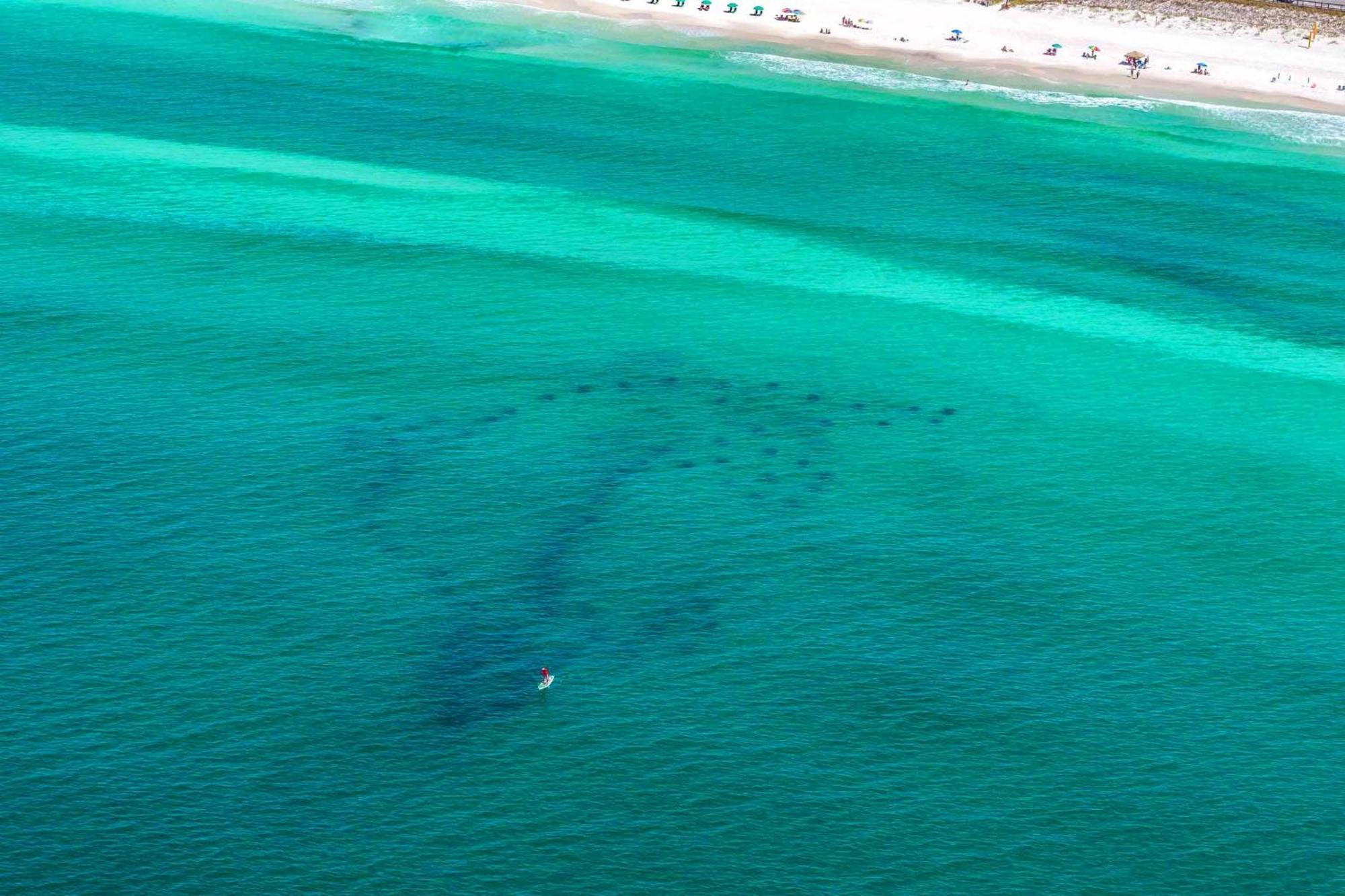 Ariel Dunes I 203 Destin Kültér fotó
